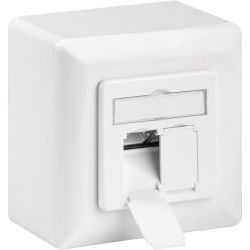 Nätverksuttag CAT 6 2 Port Vit inkl. monteringsram på väggen 